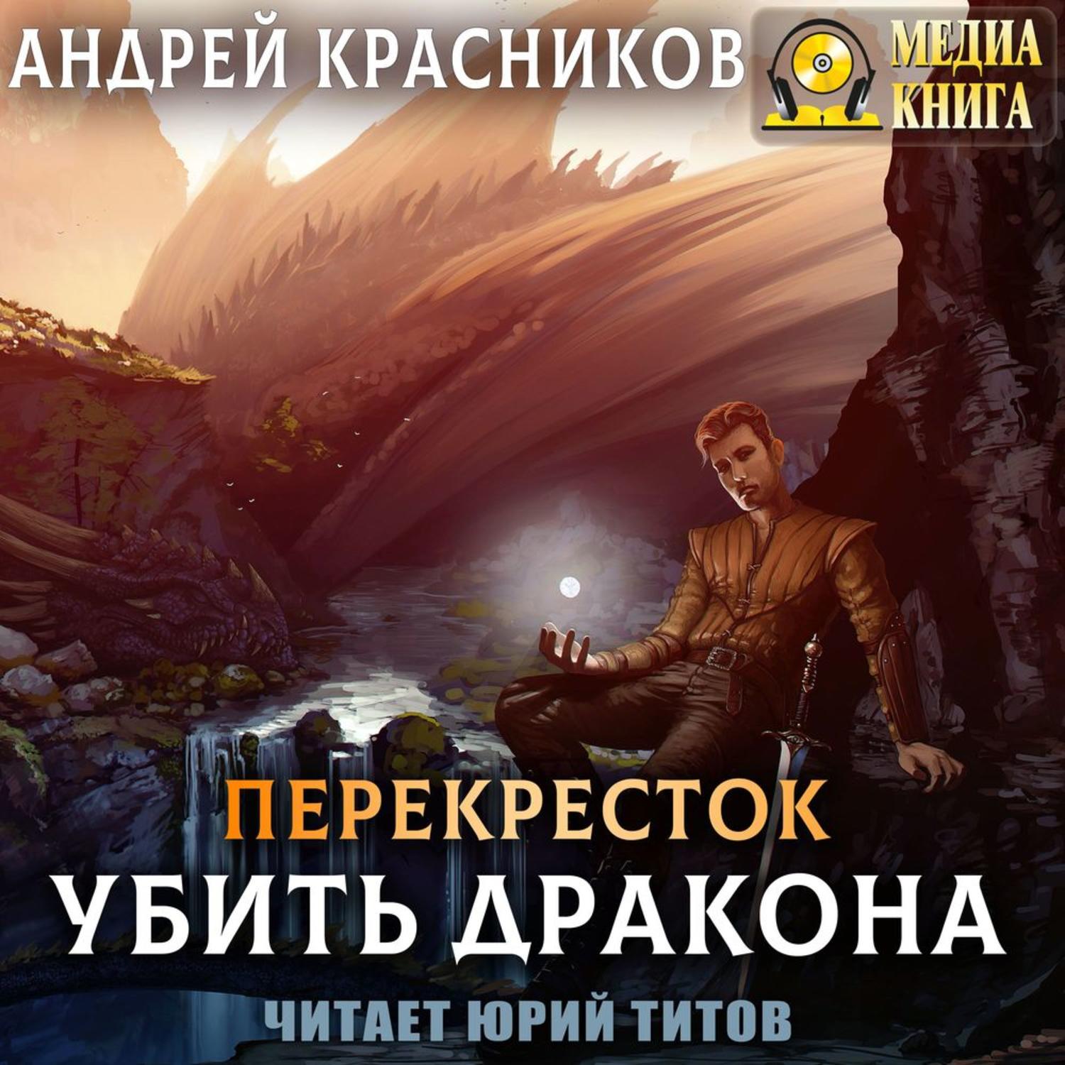 Обложка книги «Убить дракона»