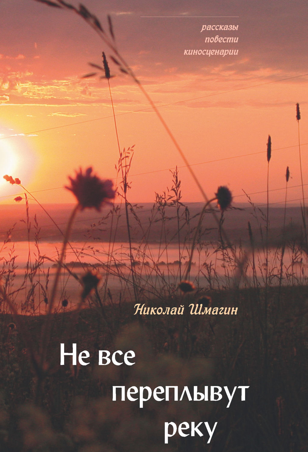 Обложка книги «Не все переплывут реку»