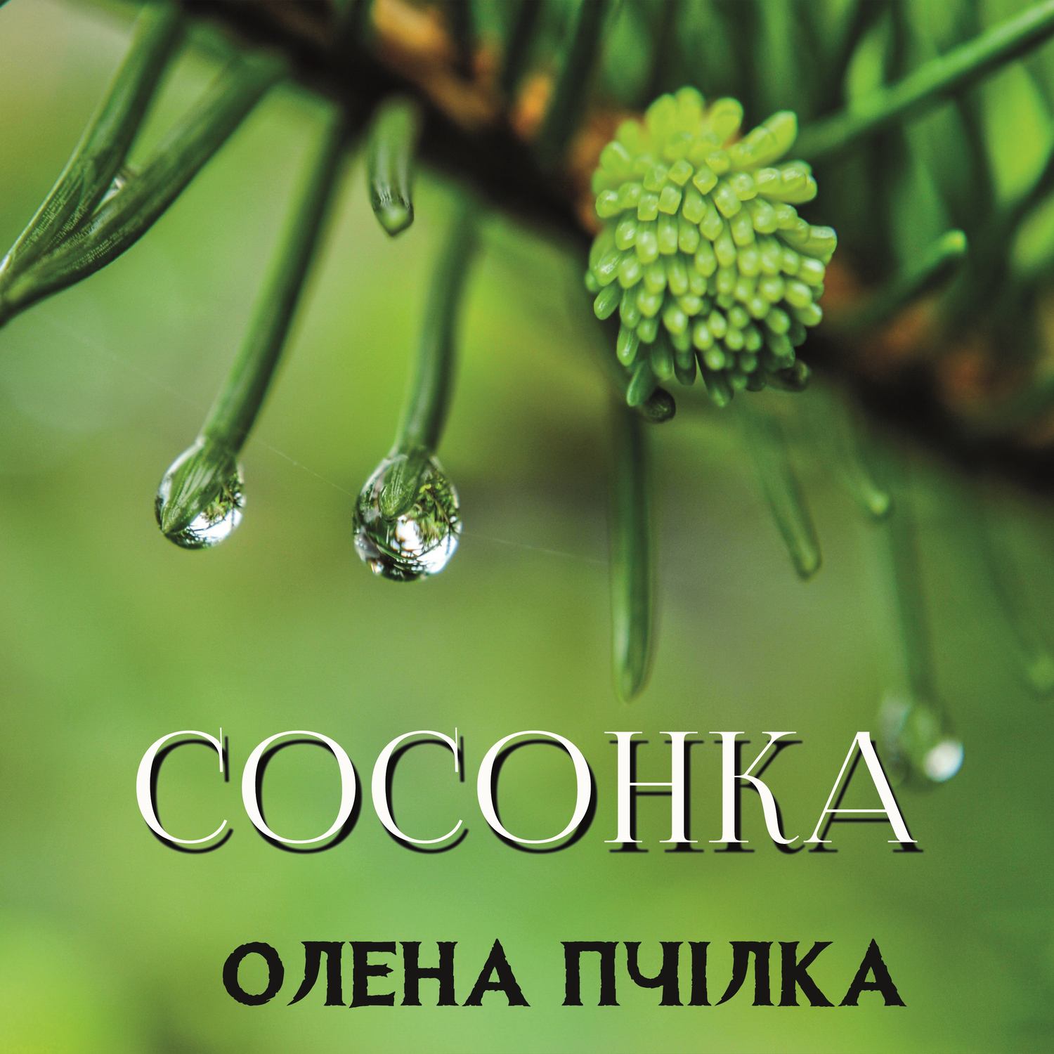 Обложка книги «Сосонка»