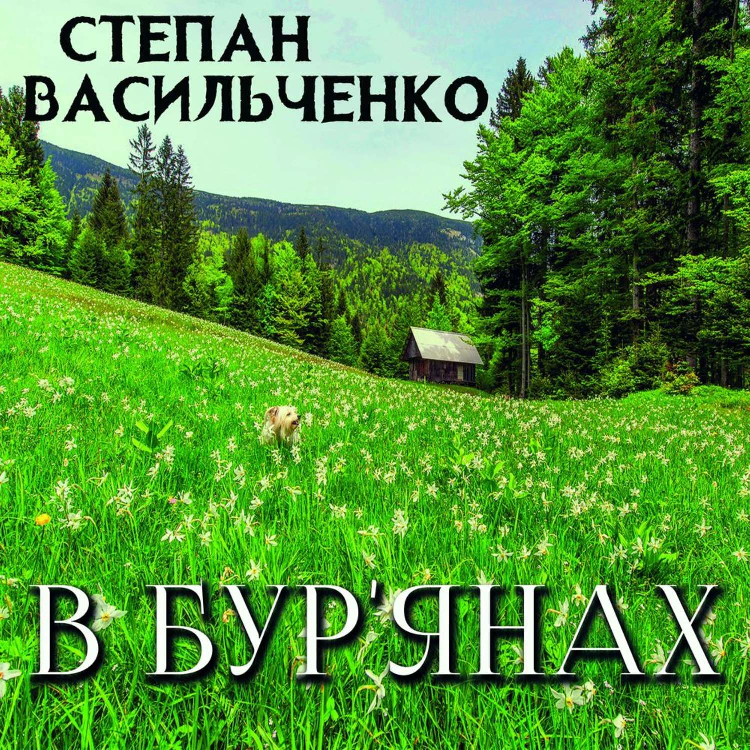 Обложка книги «В бур'янах»