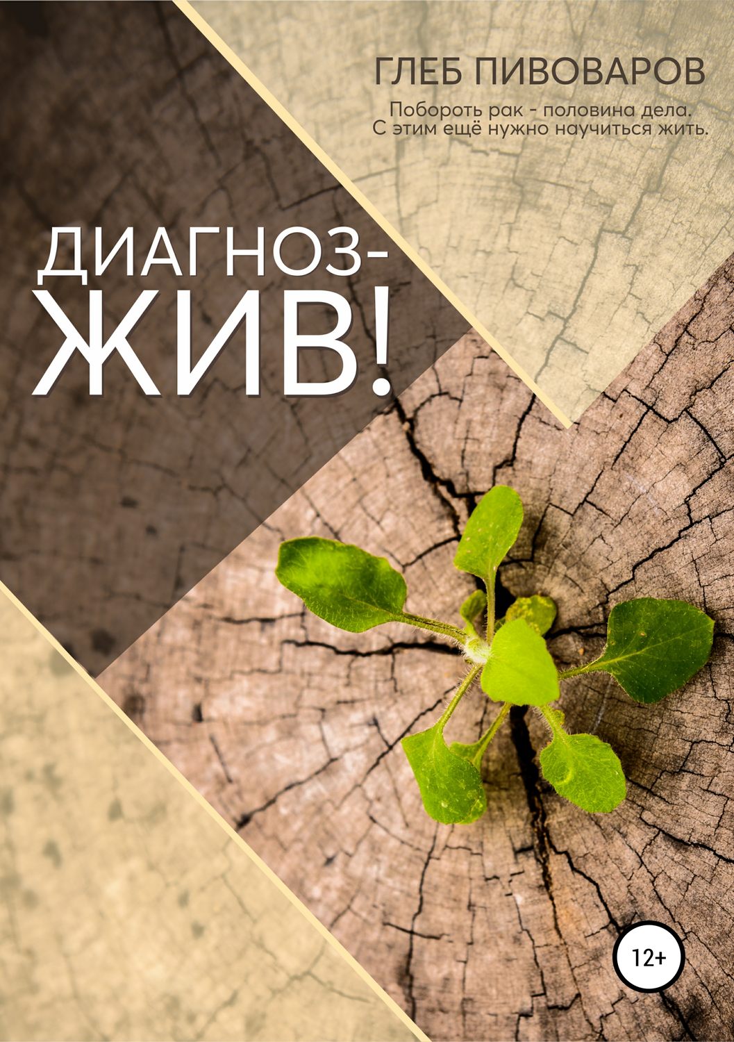 Обложка книги «Диагноз – жив!»