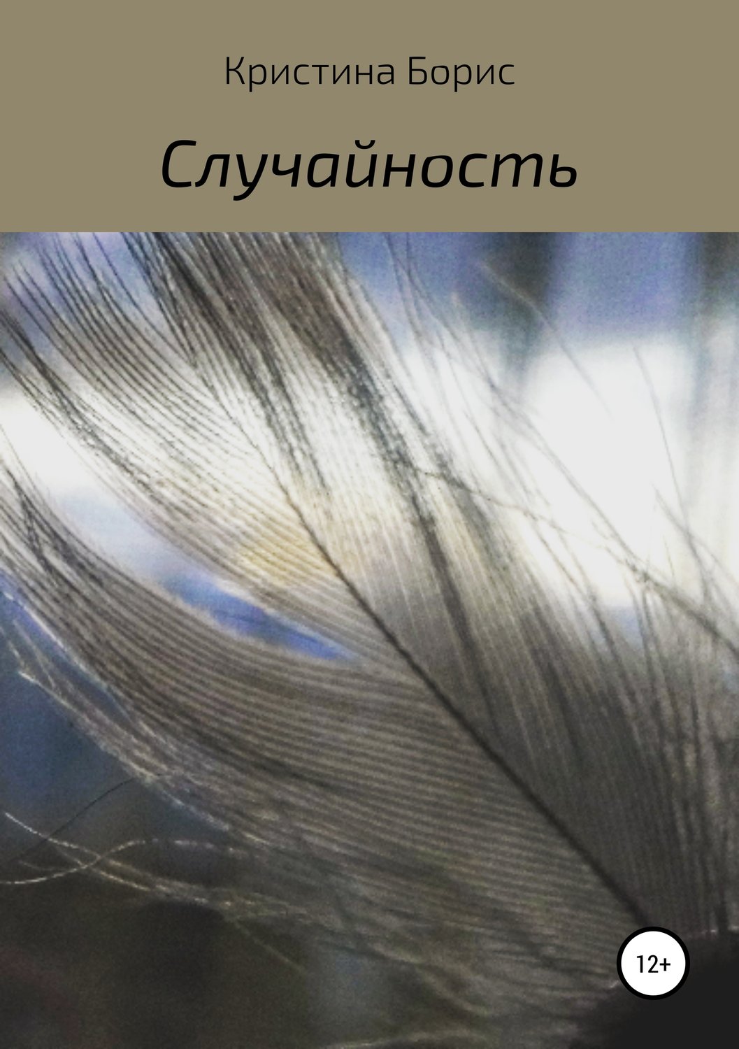 Обложка книги «Случайность»