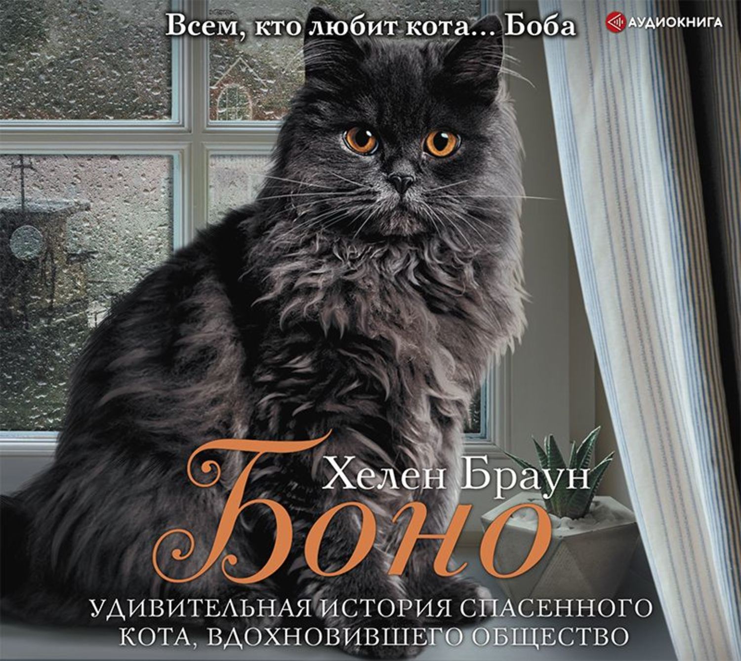 Обложка книги «Боно. Удивительная история спасенного кота, вдохновившего общество»