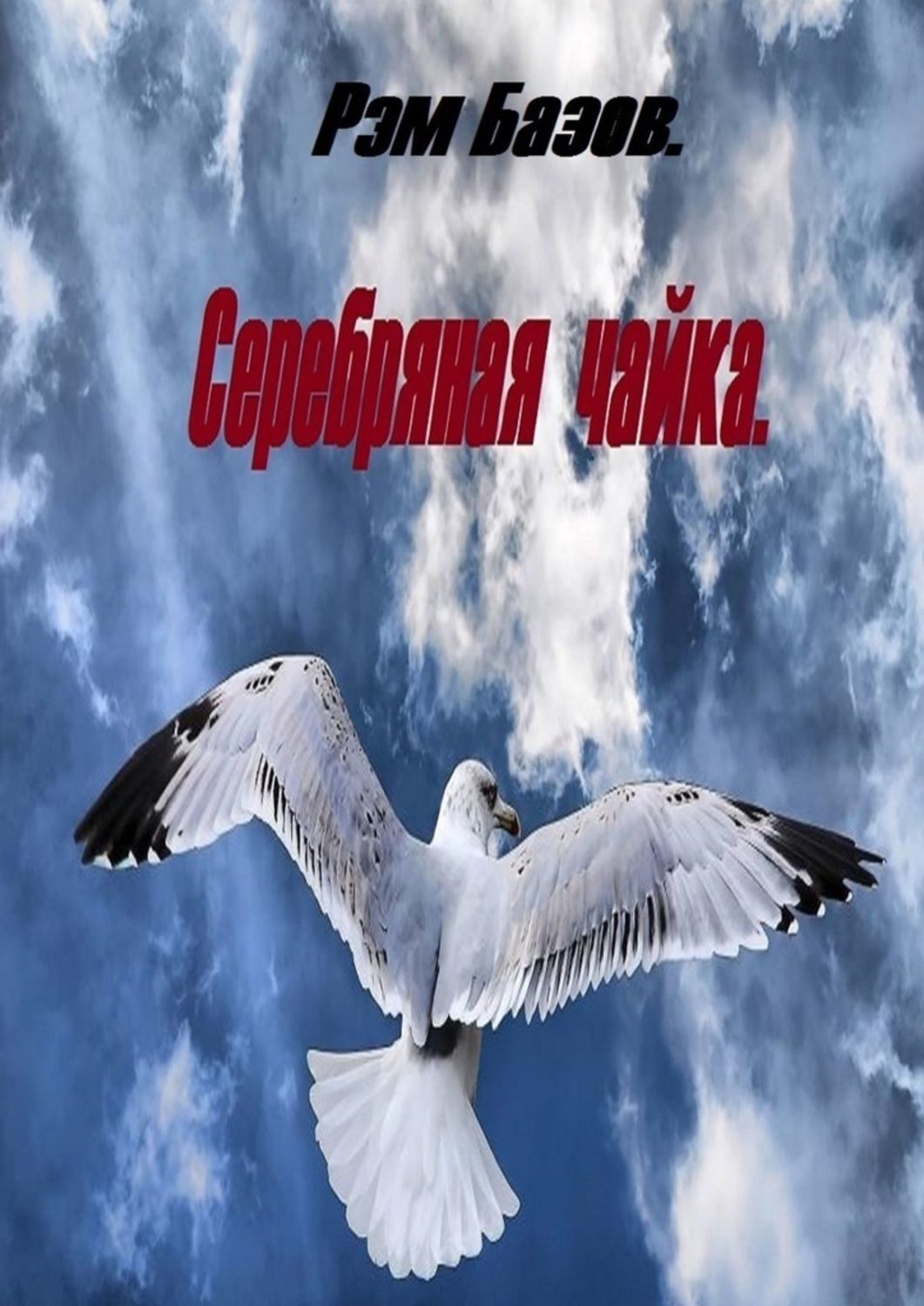 Обложка книги «Серебряная чайка»