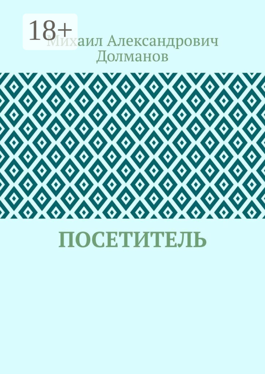 Обложка книги «Посетитель»
