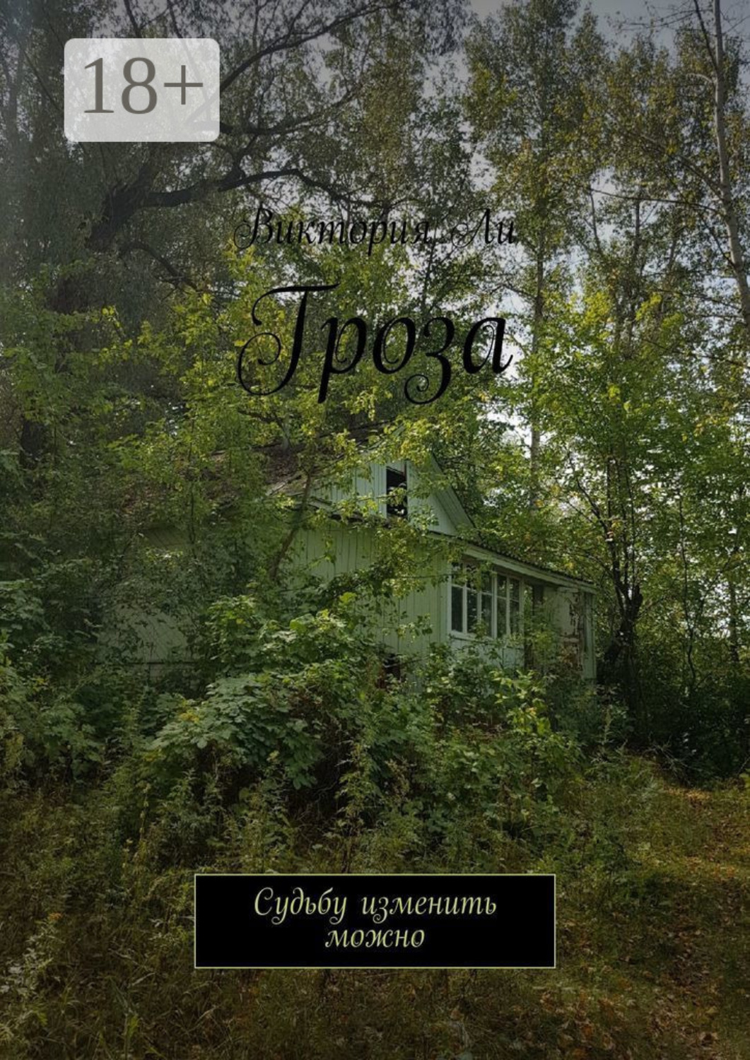 Обложка книги «Гроза. Судьбу изменить можно»