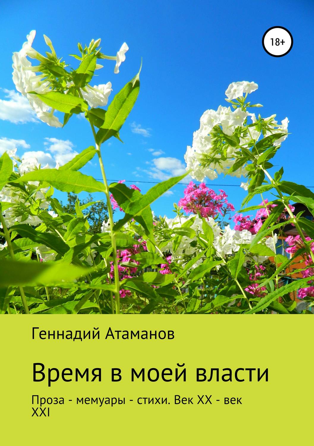Обложка книги «Время в моей власти»