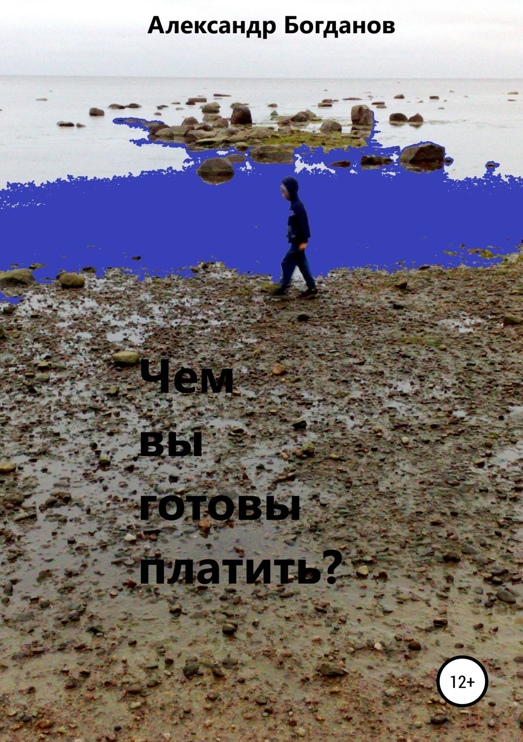 Обложка книги «Чем вы готовы платить?»