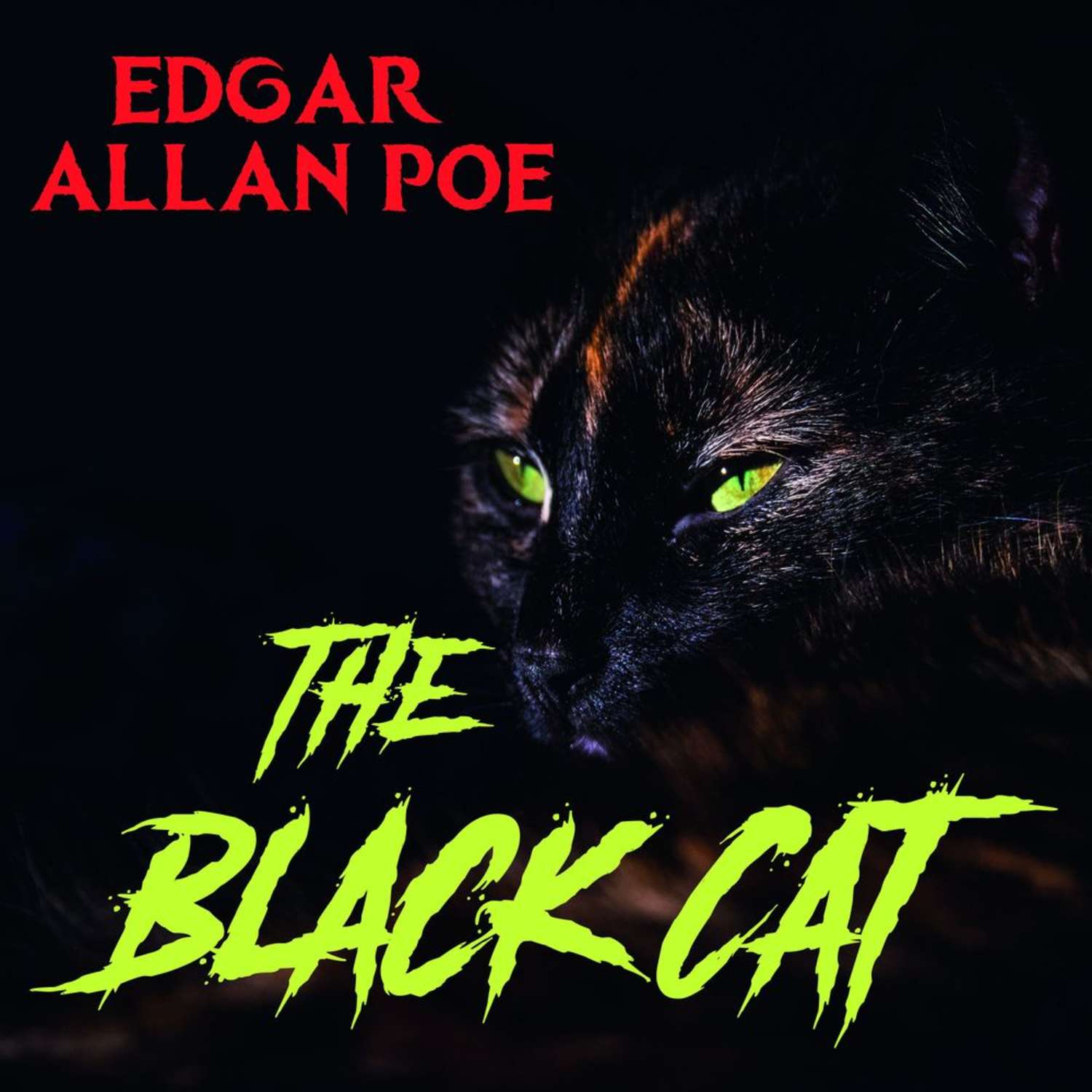 Обложка книги «The Black Cat»
