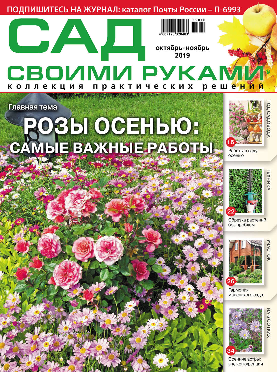 Обложка книги «Сад своими руками №10-11/2019»