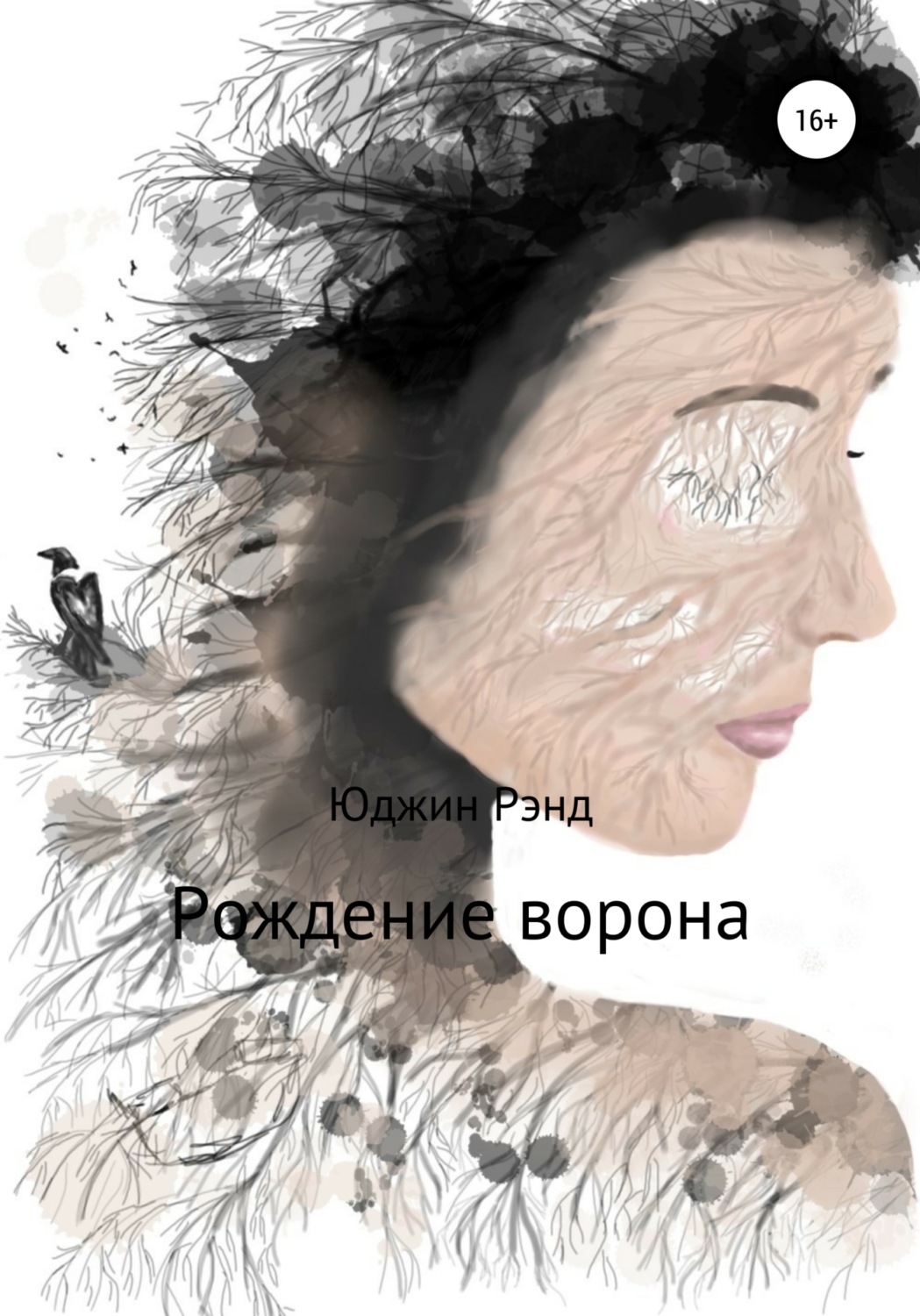Обложка книги «Рождение ворона»