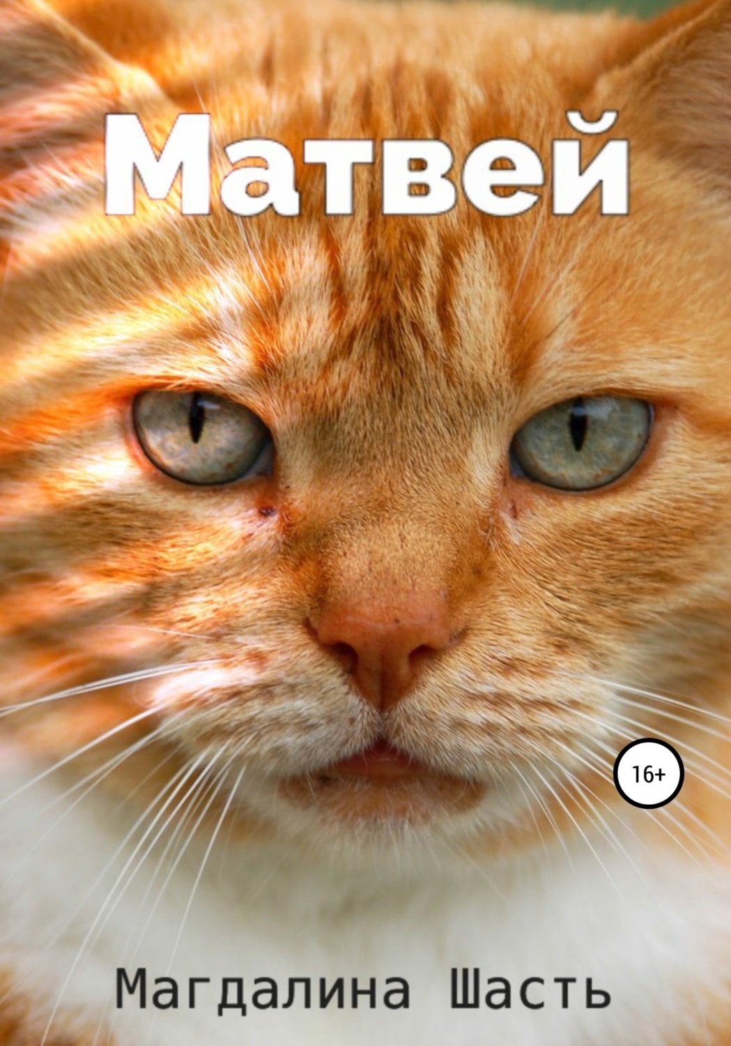Обложка книги «Матвей»
