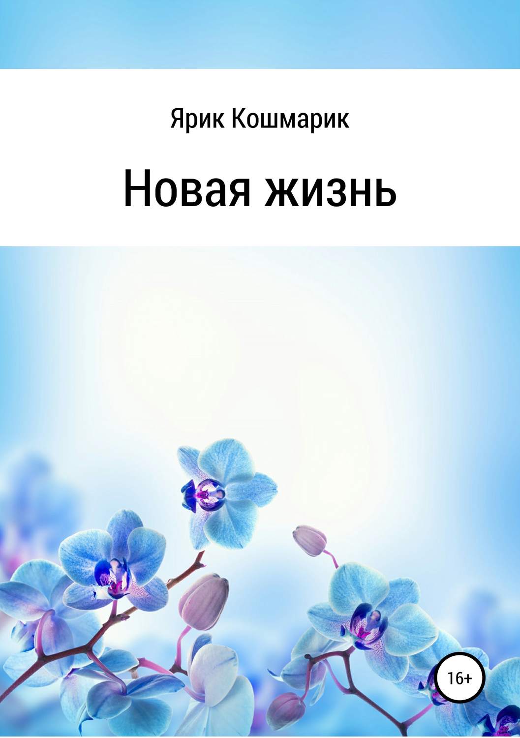 Обложка книги «Новая жизнь»