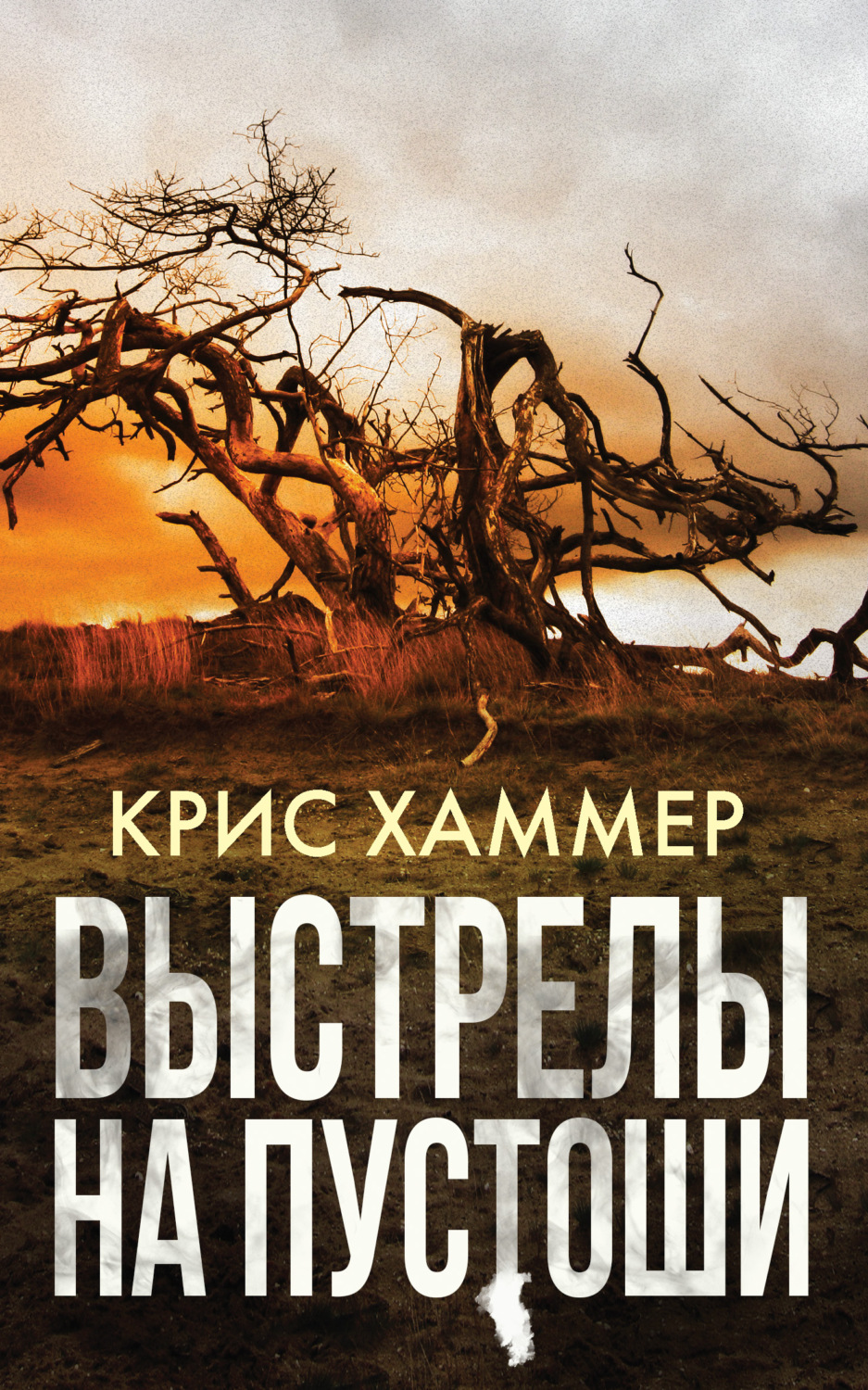 Обложка книги «Выстрелы на пустоши»