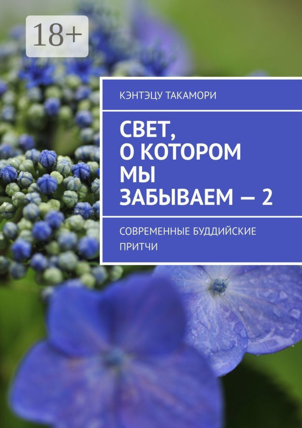 Обложка книги «Свет, о котором мы забываем – 2. Современные буддийские притчи»