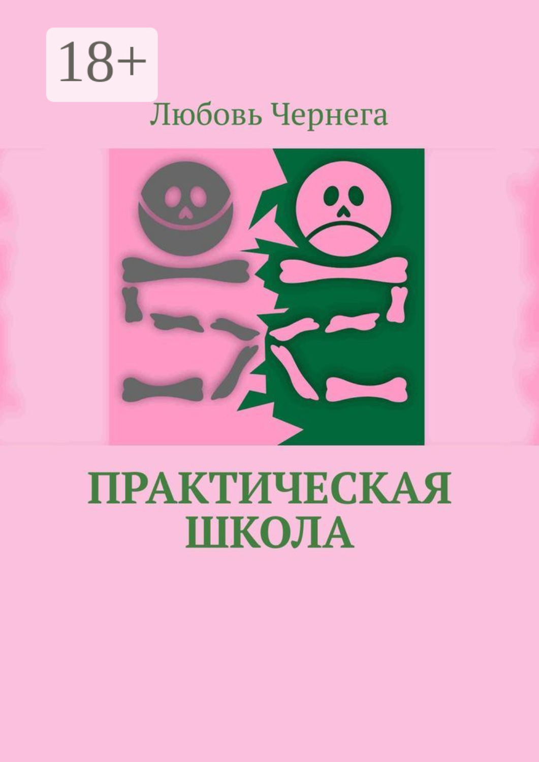 Обложка книги «Практическая школа»
