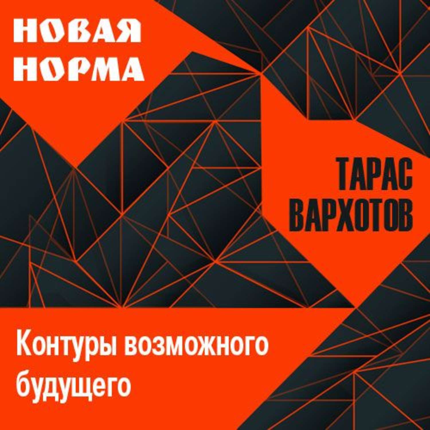 Обложка книги «Новая норма. Контуры возможного будущего. Цикл лекций»