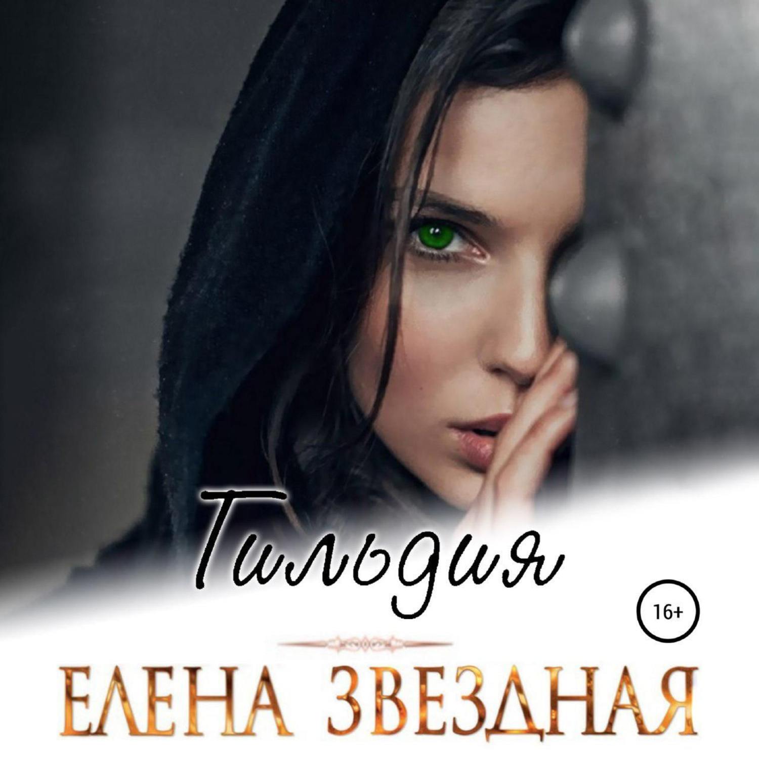 Обложка книги «Гильдия»