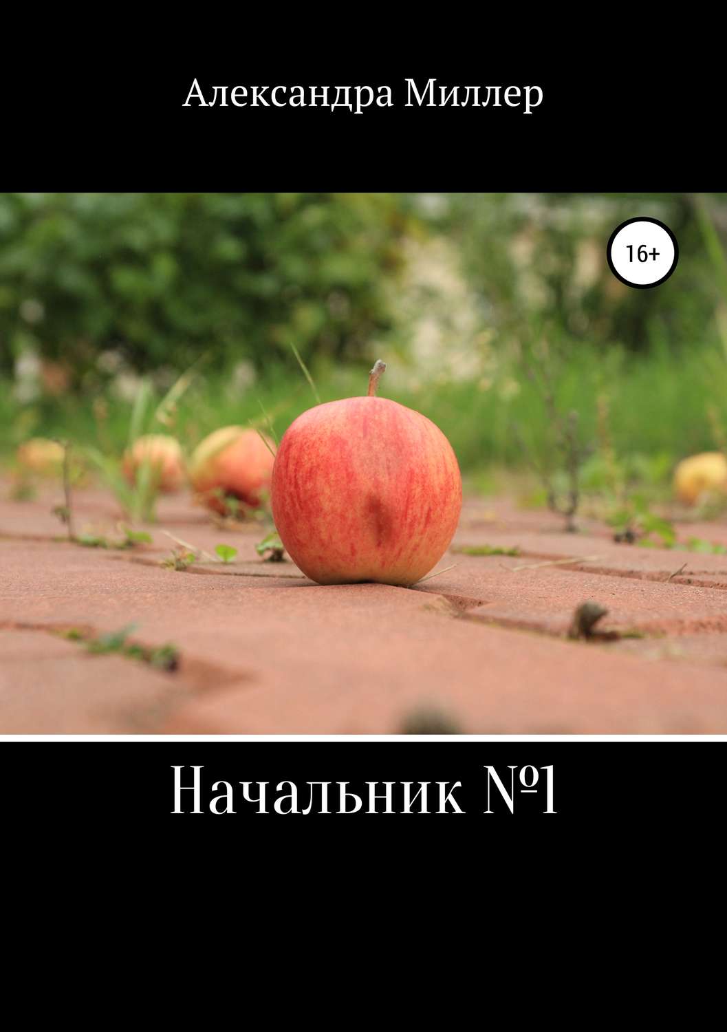Обложка книги «Начальник №1»
