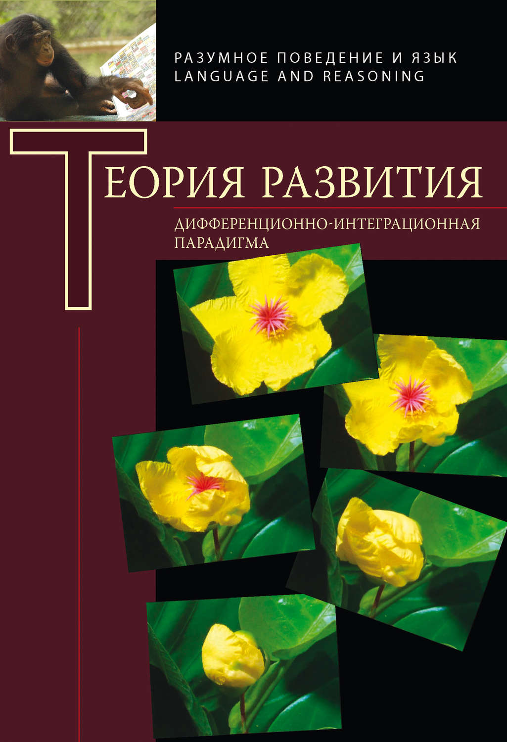 Обложка книги «Теория развития. Дифференциально-интеграционная парадигма»