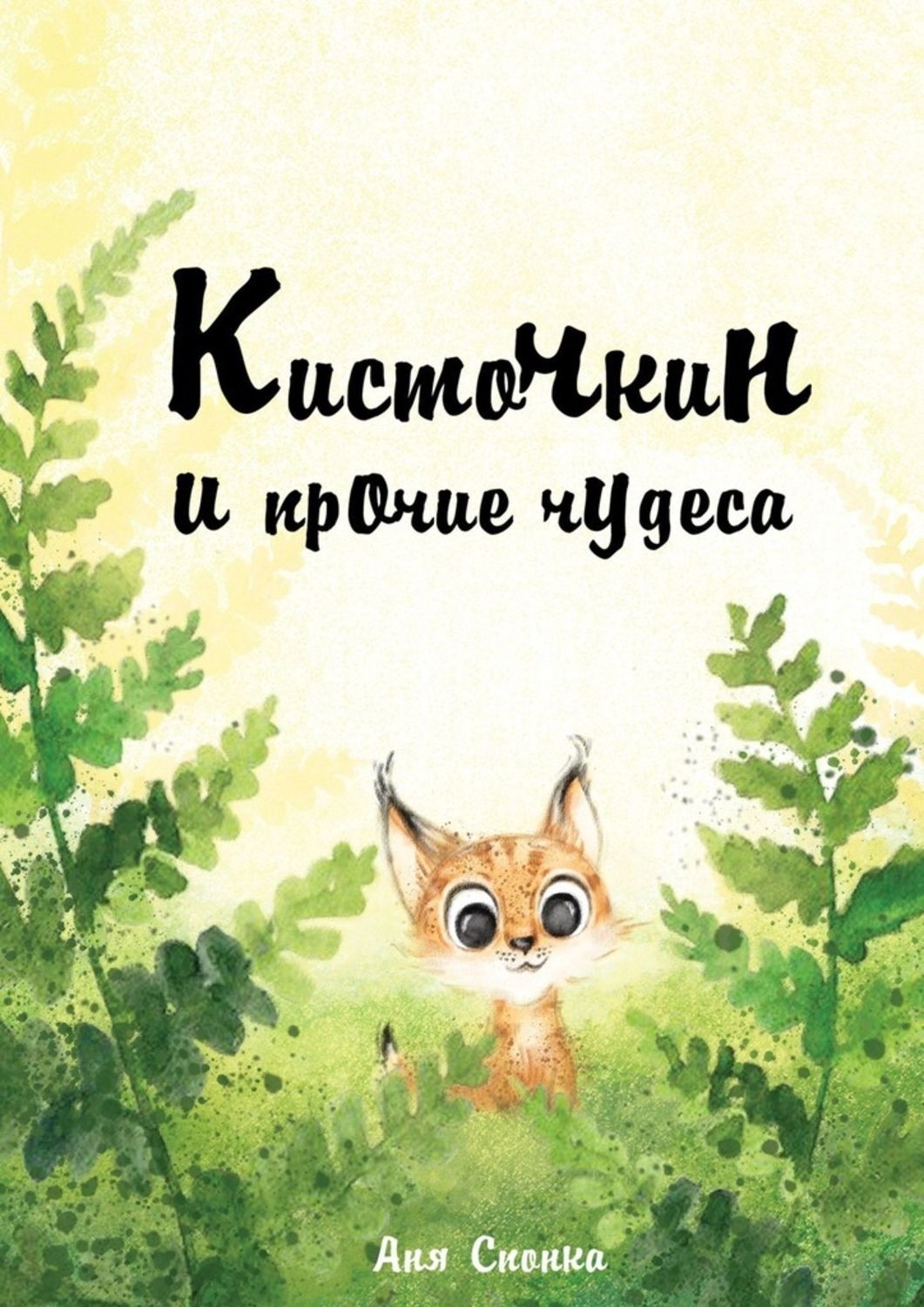 Обложка книги «Кисточкин и прочие чудеса»