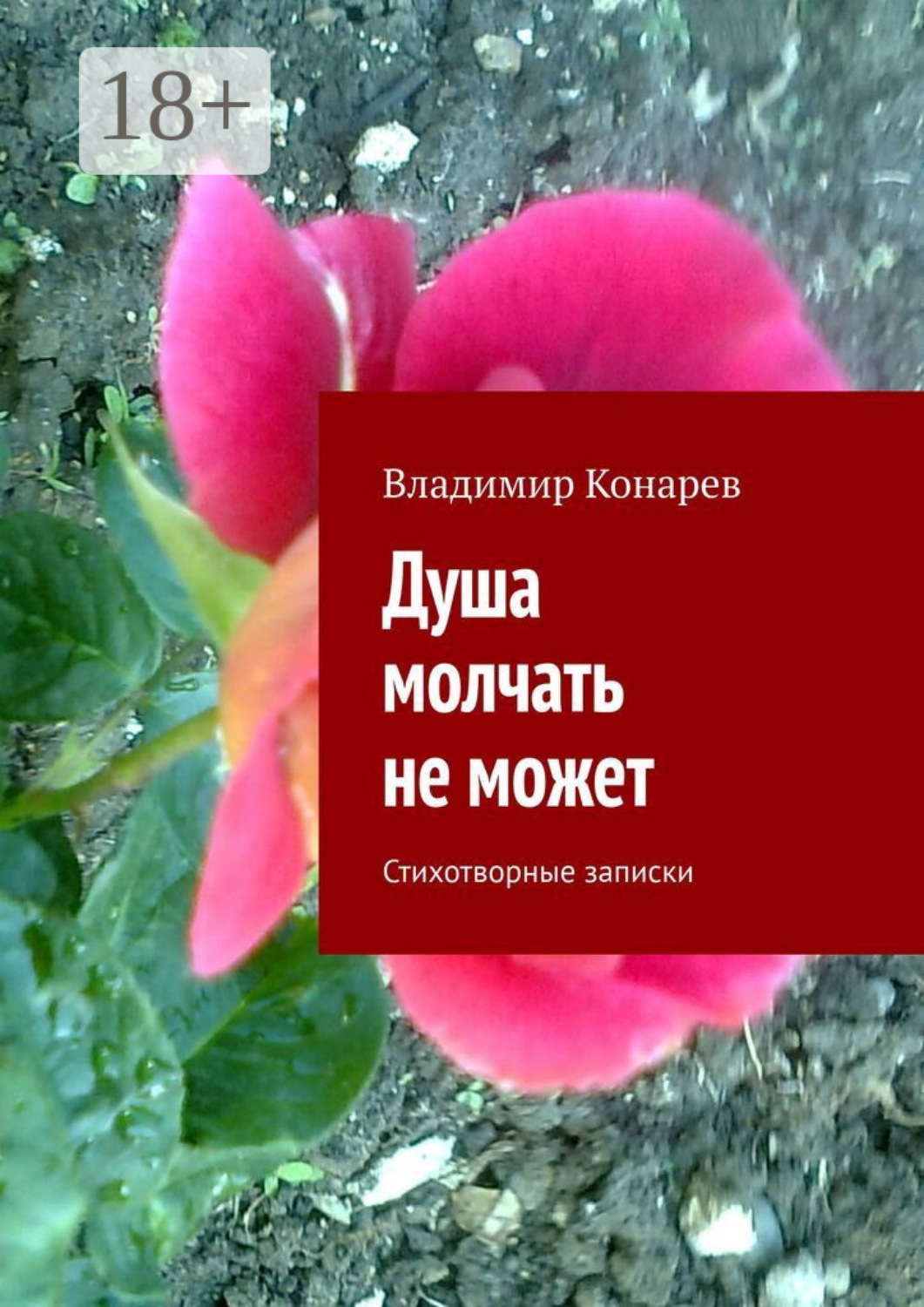 Обложка книги «Душа молчать не может. Стихотворные записки»