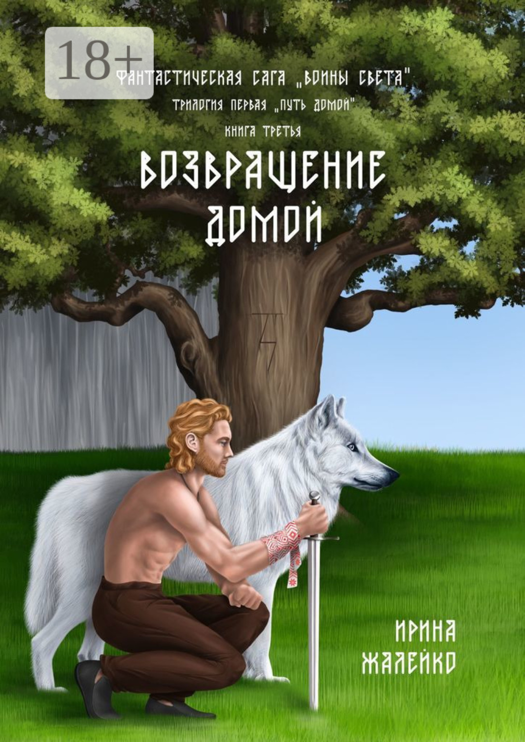 Обложка книги «Возвращение домой. Книга третья. Фантастическая сага «Воины света». Трилогия первая «Путь домой»»