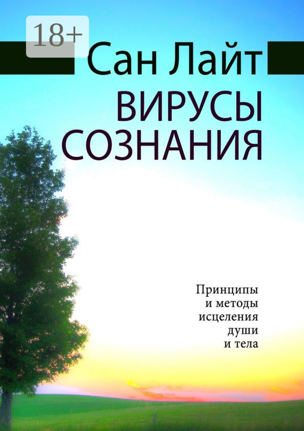 Обложка книги «Вирусы сознания. Принципы и методы исцеления души и тела»