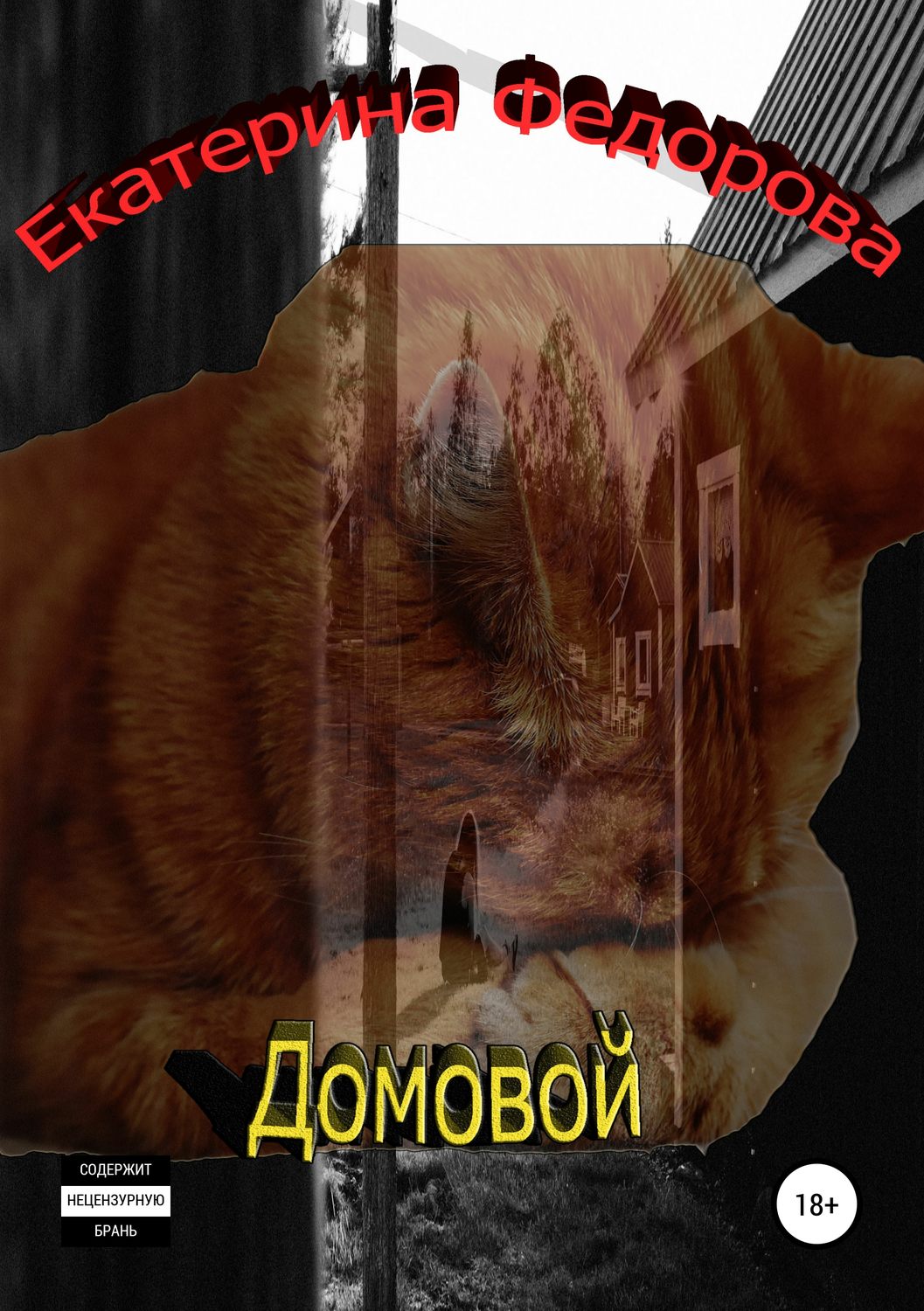 Обложка книги «Домовой»