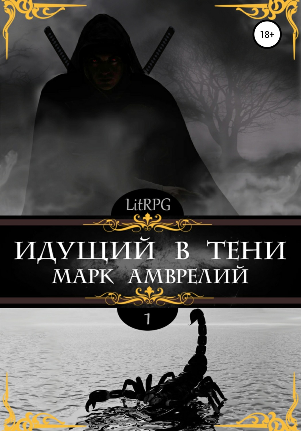 Обложка книги «Идущий в тени»
