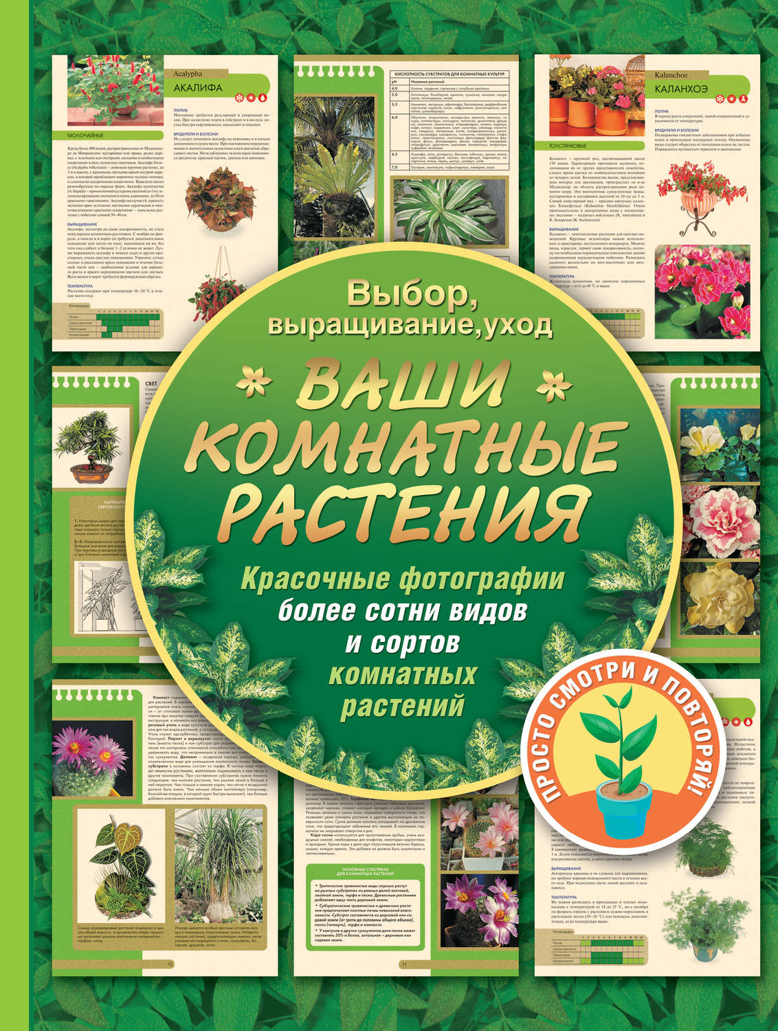 Обложка книги «Ваши комнатные растения»