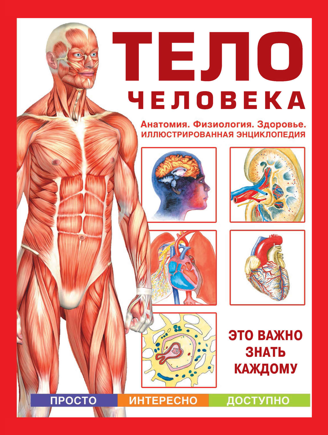 Обложка книги «Тело человека. Анатомия. Физиология. Здоровье»