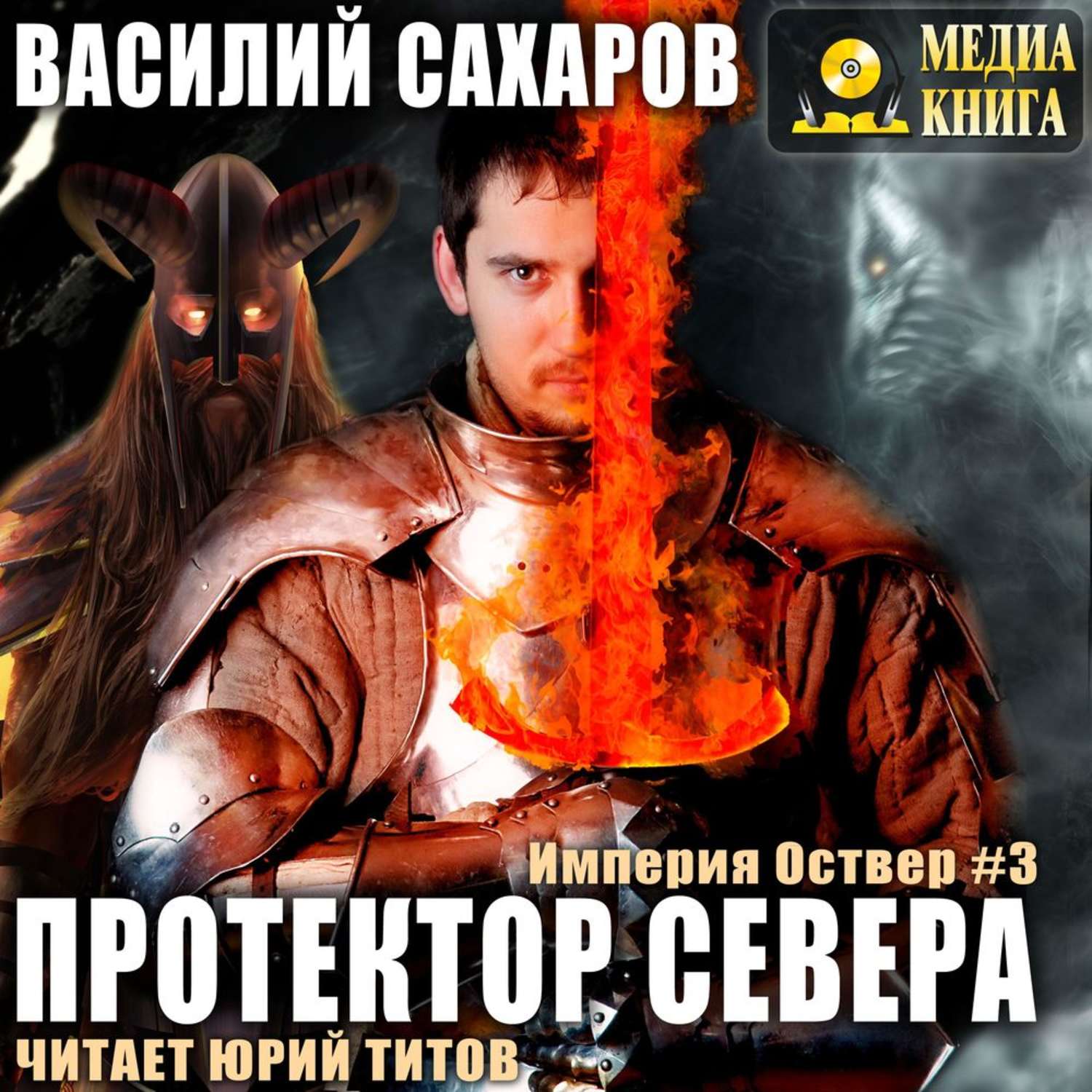 Обложка книги «Протектор севера»