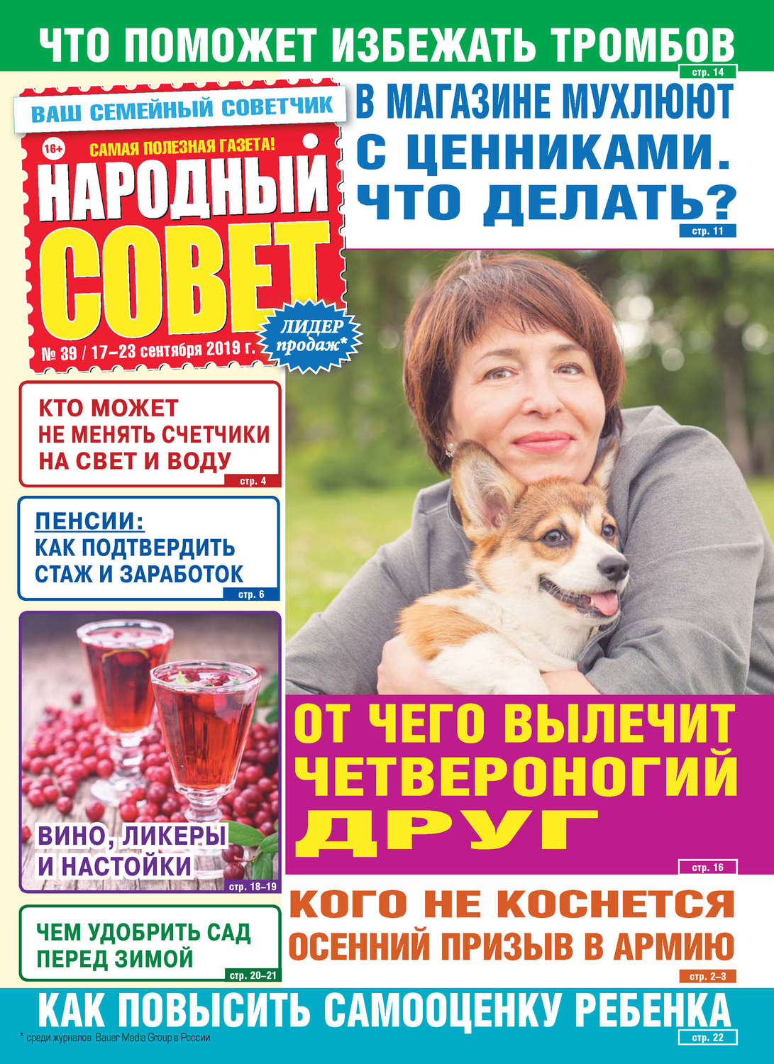 Обложка книги «Народный совет №39/2019»