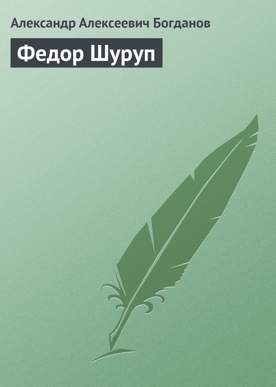 Обложка книги «Федор Шуруп»