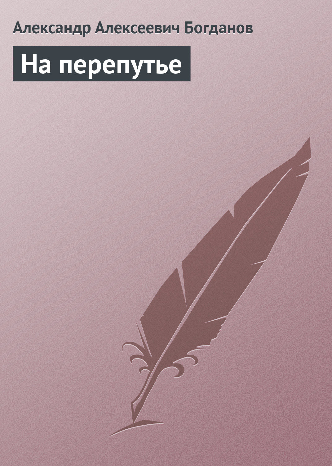 Обложка книги «На перепутье»