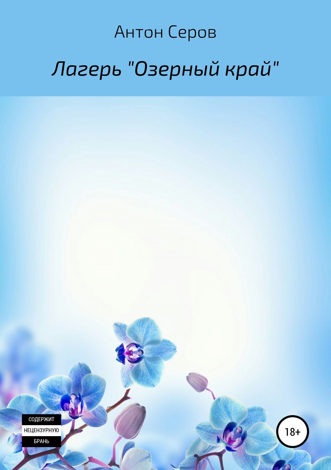 Обложка книги «Лагерь «Озерный край»»
