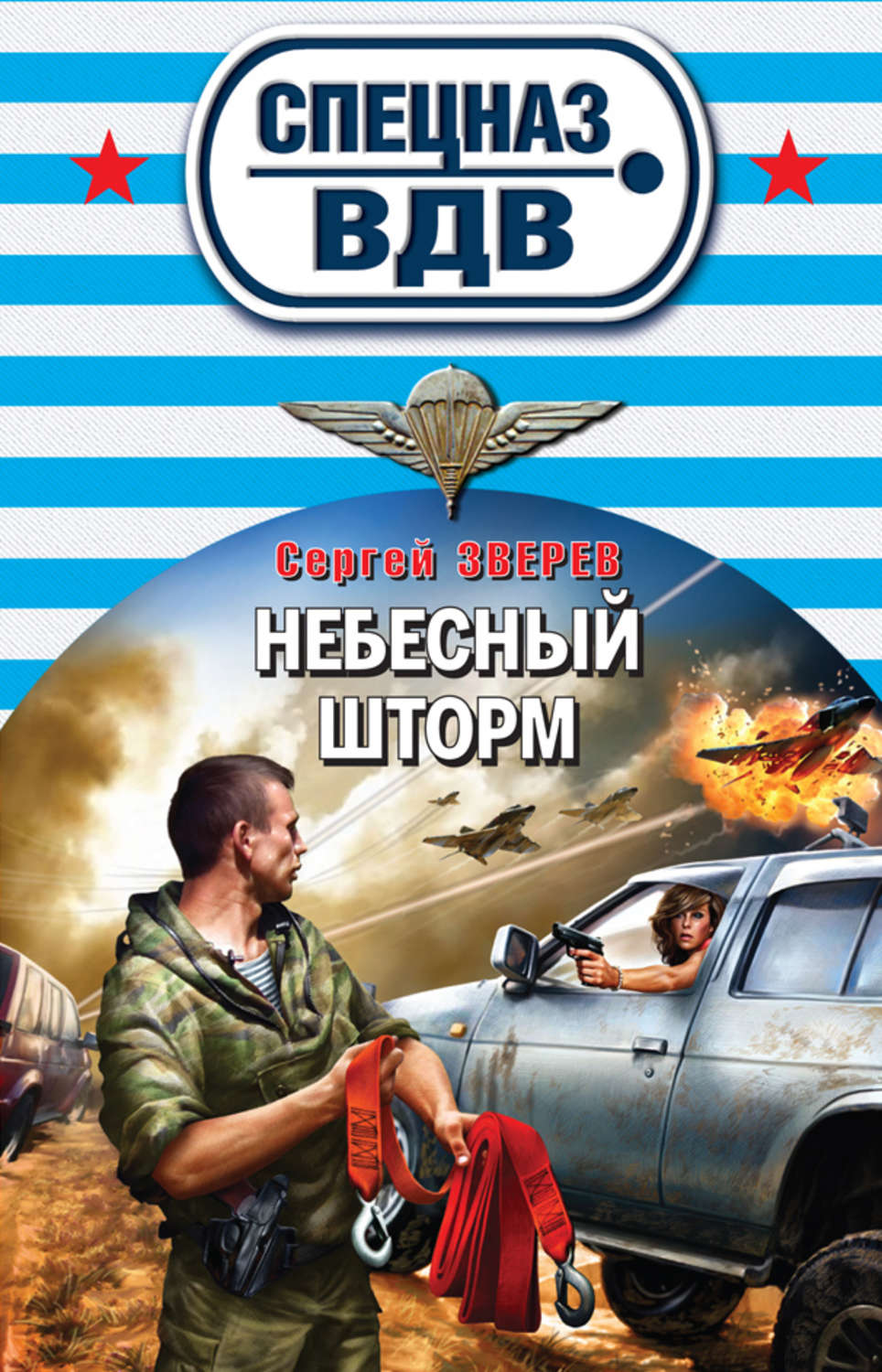 Обложка книги «Небесный шторм»