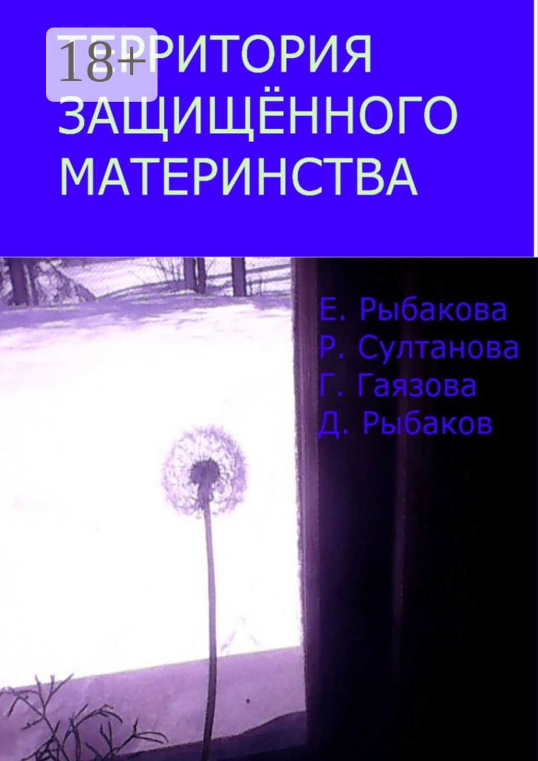 Обложка книги «Территория защищённого материнства»