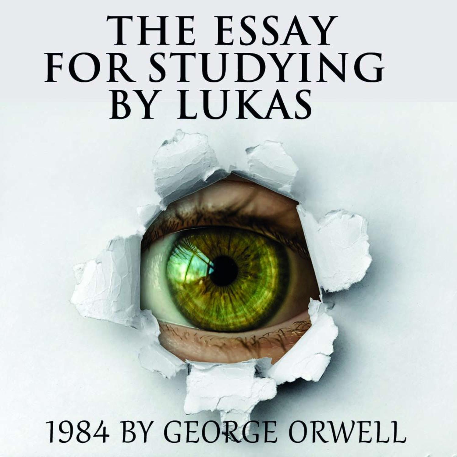 Обложка книги «The Essay for studying by Lukas 1984 by George Orwell»