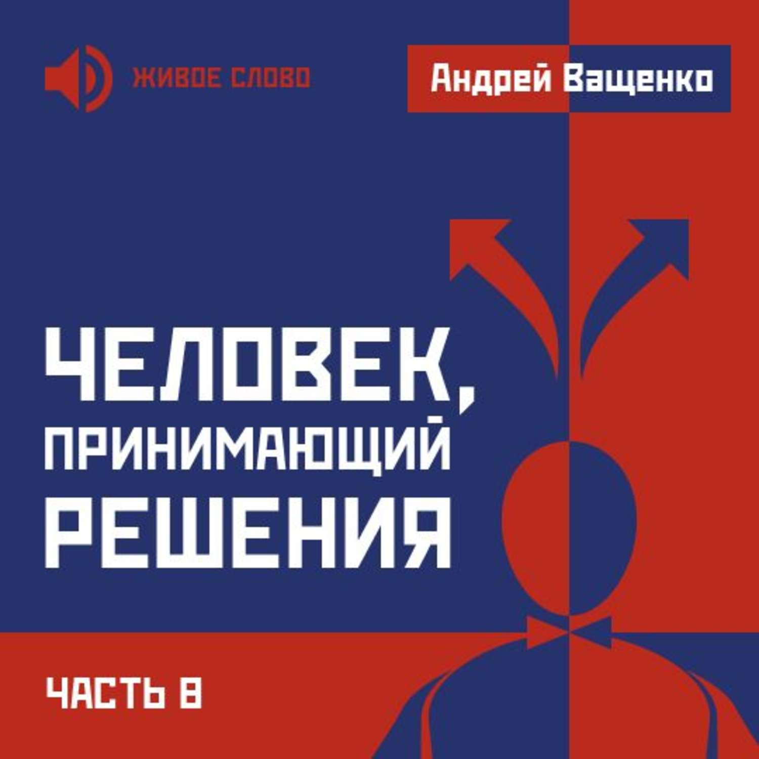 Обложка книги «Человек, принимающий решения. Часть 8»