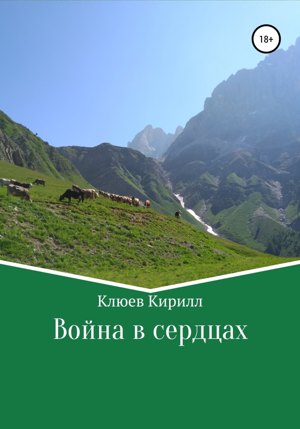 Обложка книги «Война в сердцах»