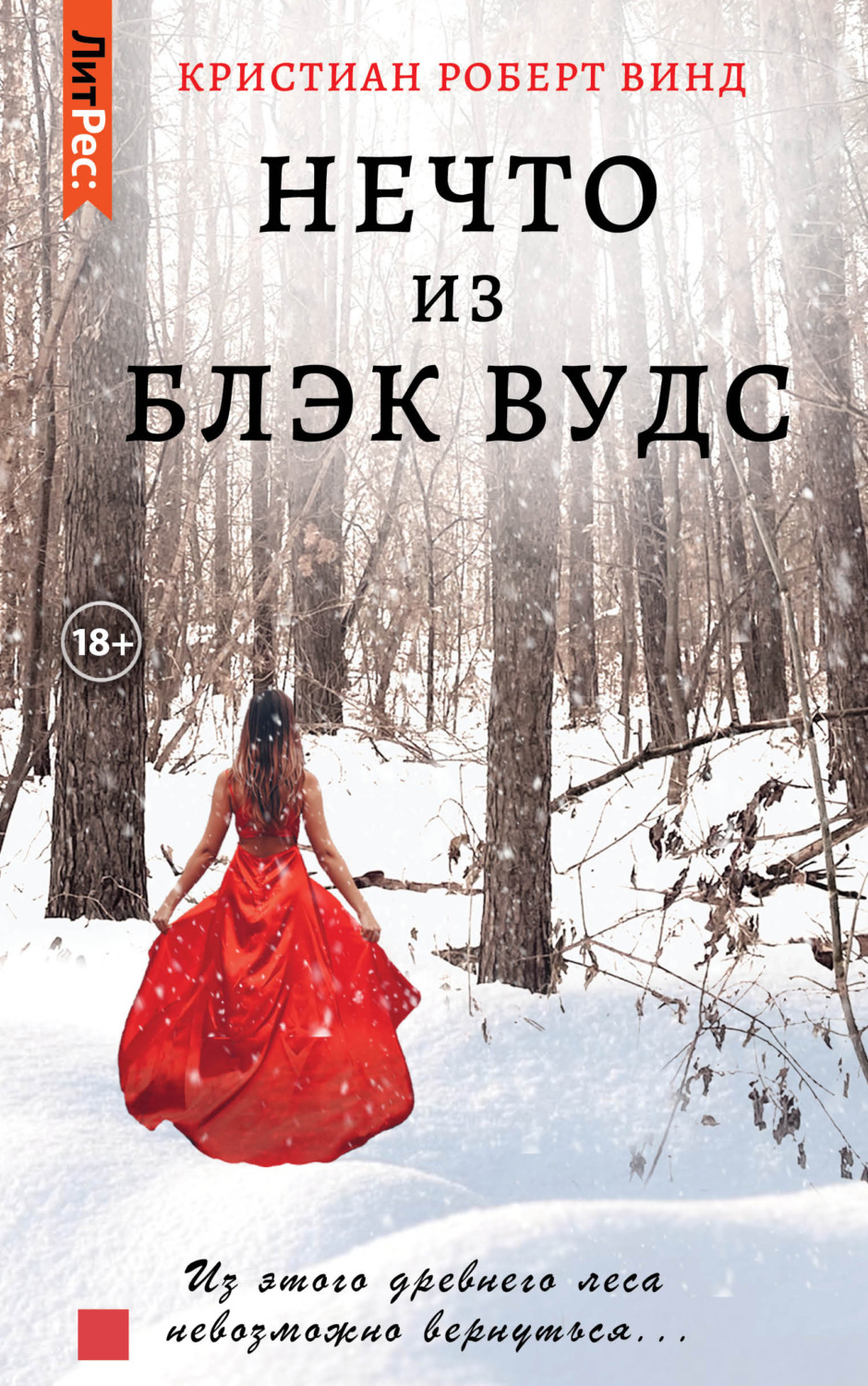 Обложка книги «Нечто из Блэк Вудс»