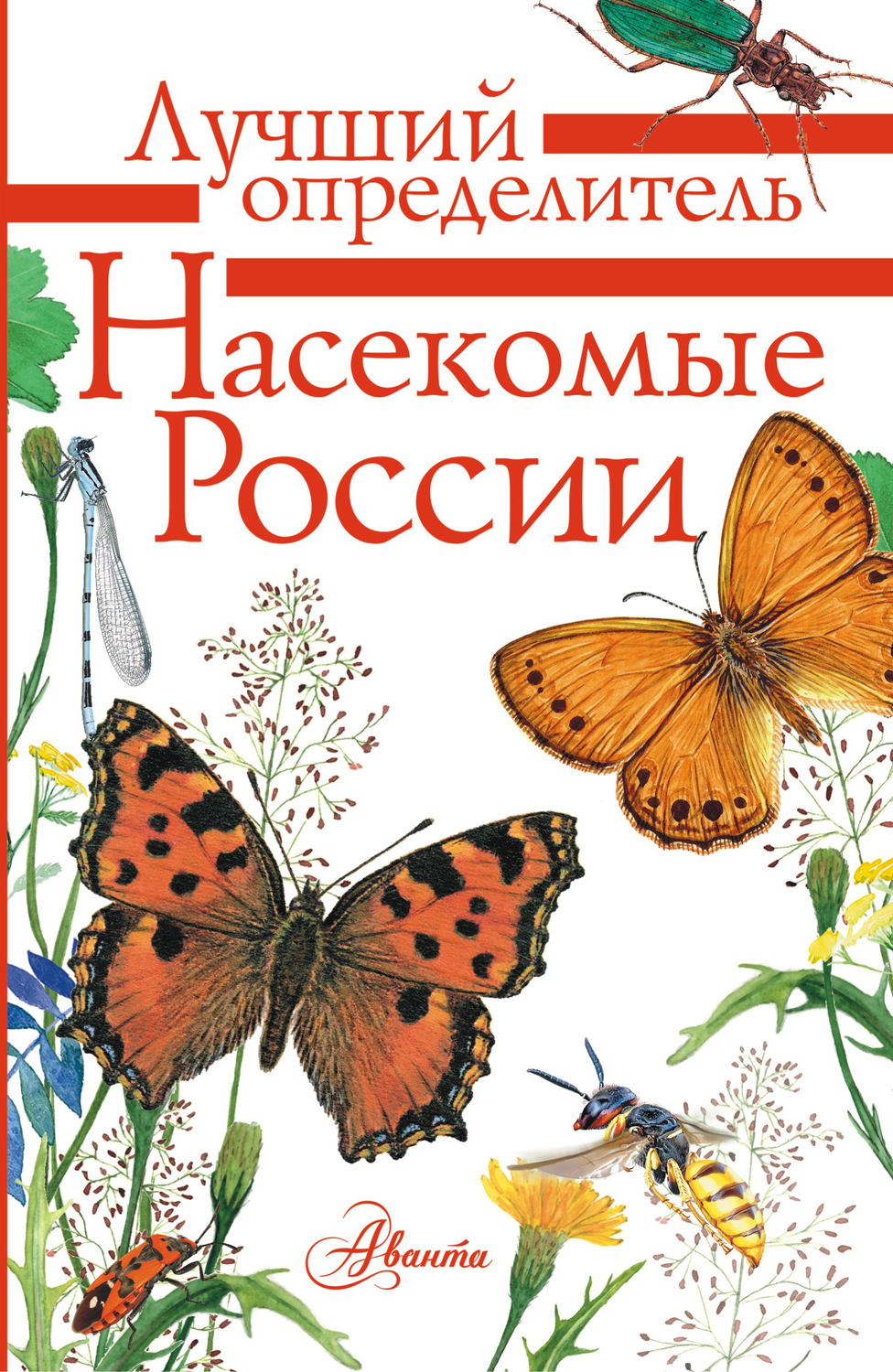 Обложка книги «Насекомые России»