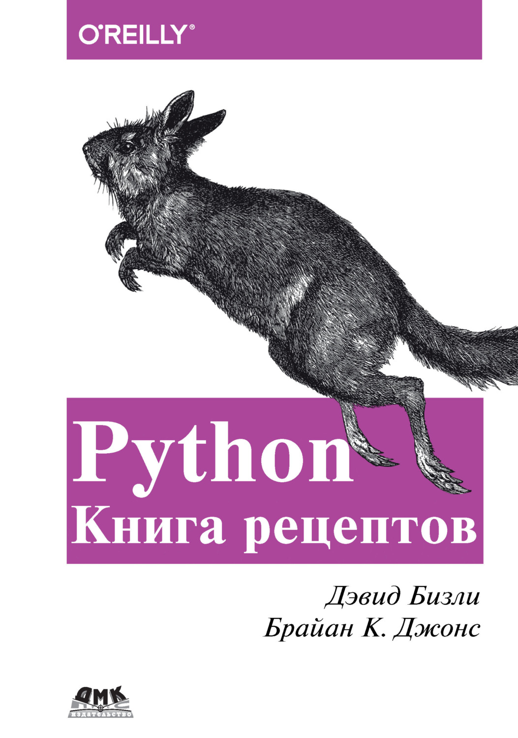 Обложка книги «Python. Книга рецептов»