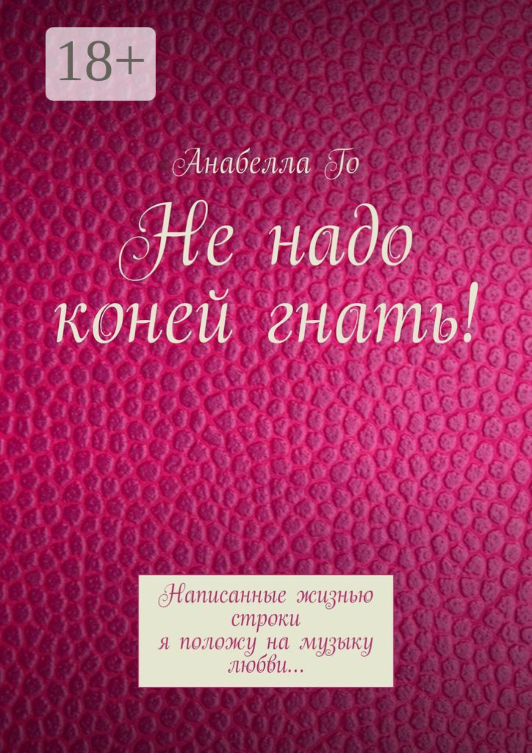 Обложка книги «Не надо коней гнать! Написанные жизнью строки я положу на музыку любви…»
