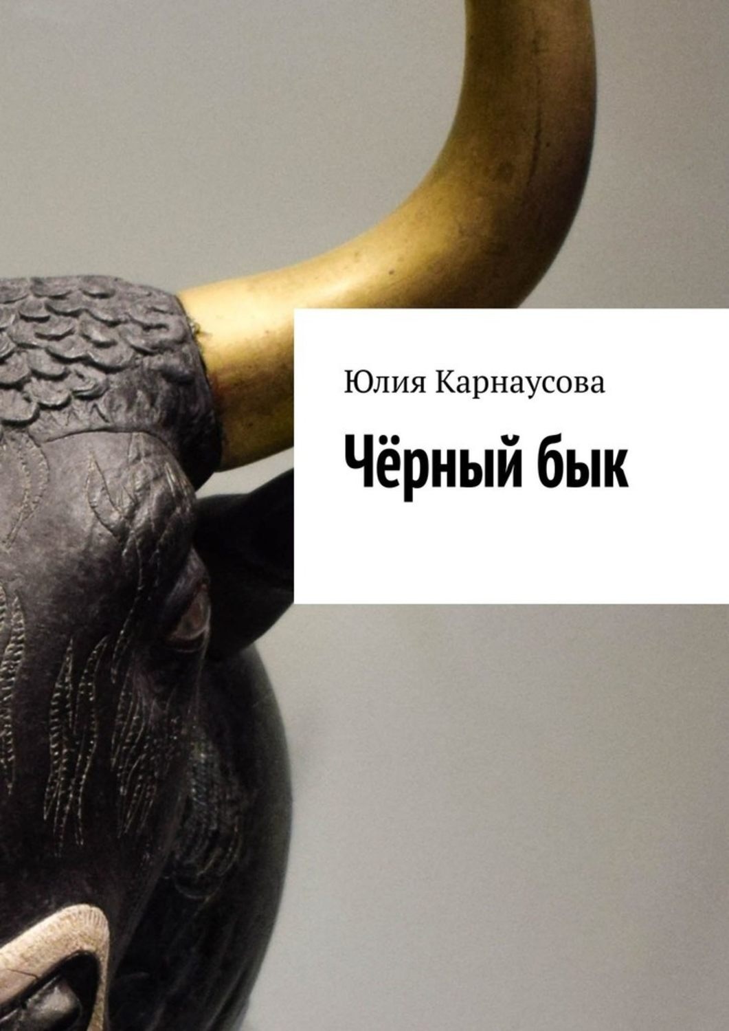 Обложка книги «Чёрный бык»