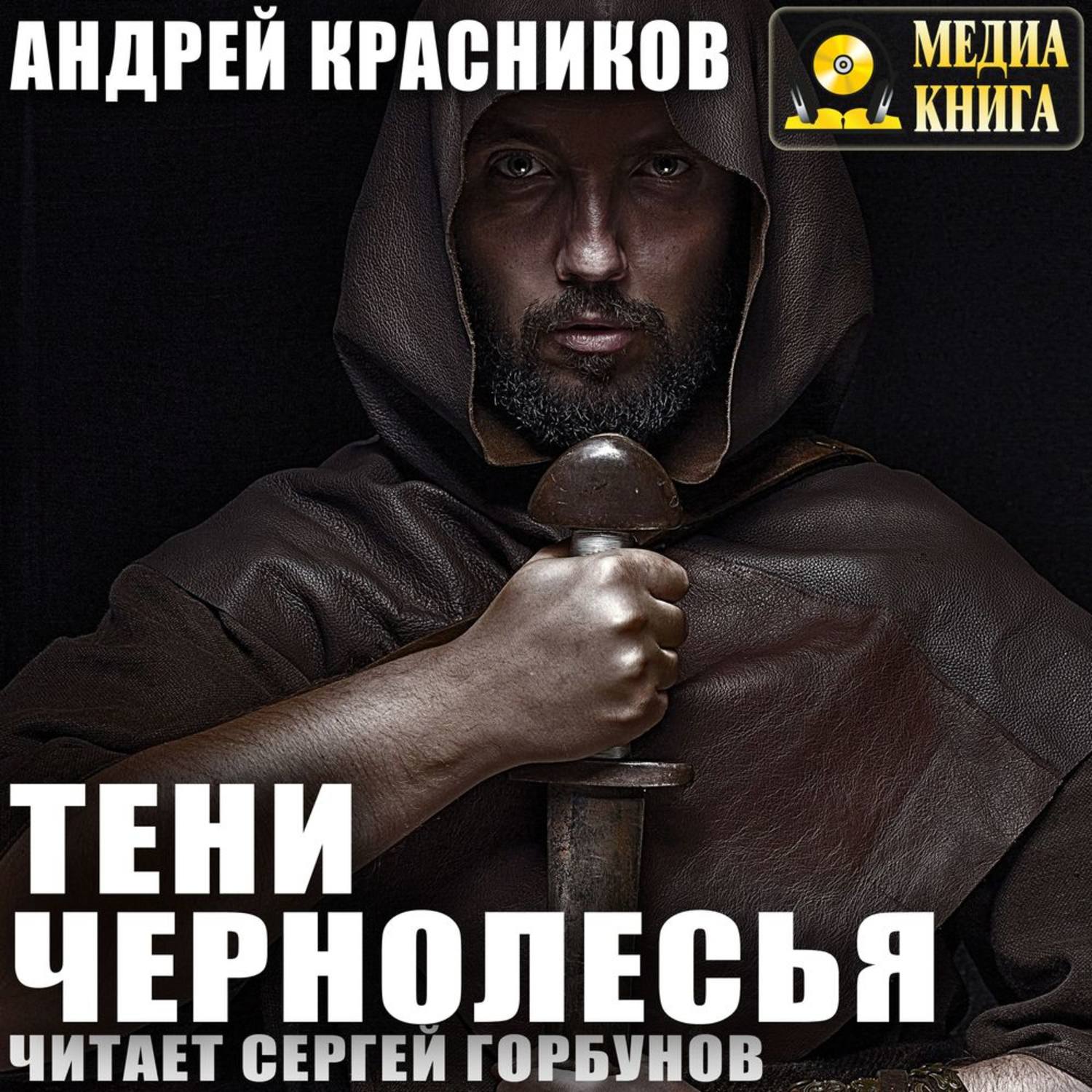 Обложка книги «Тени Чернолесья»