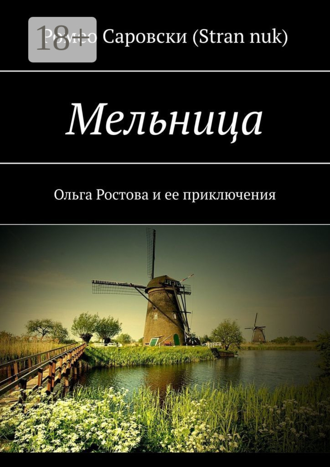 Обложка книги «Мельница. Ольга Ростова и ее приключения»