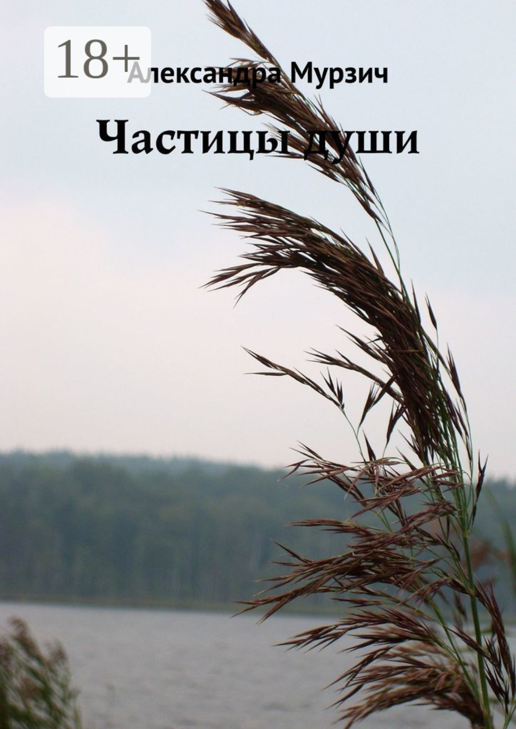 Обложка книги «Частицы души»